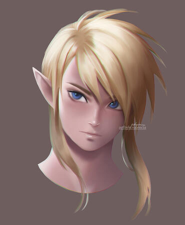 Link Portrait 2017